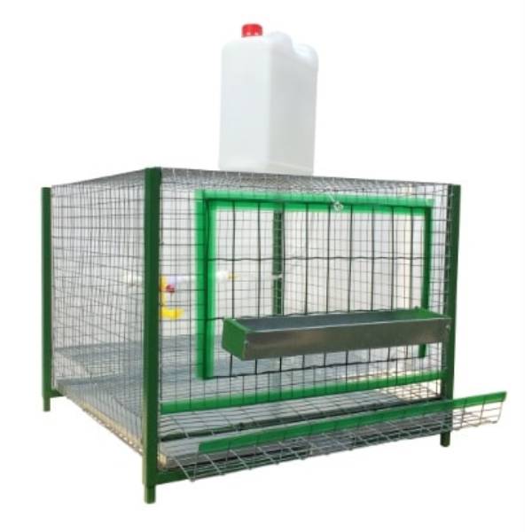 бизнес план по выращиванию бройлеров