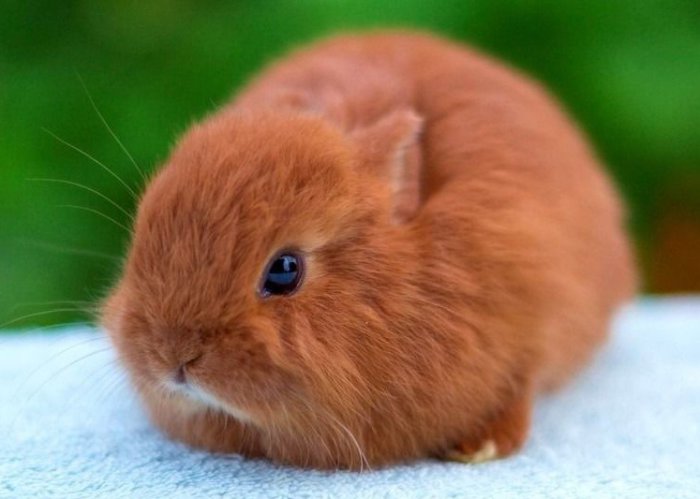 подробный опыт