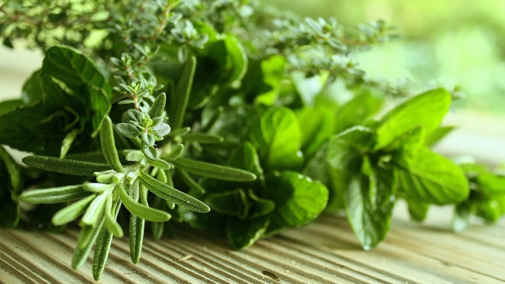 розмарин уход в домашних условиях