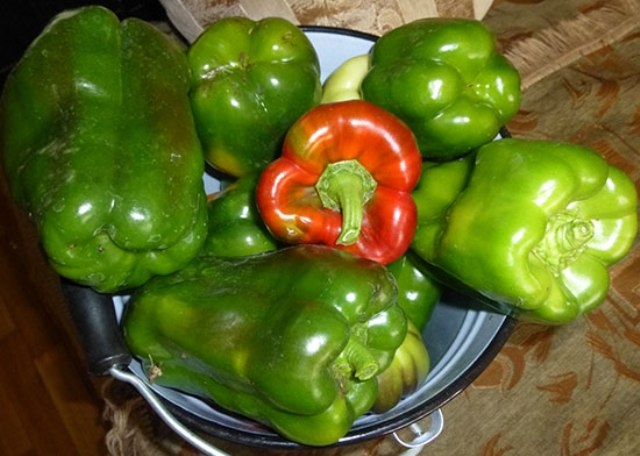 красный болгарский перец польза и вред