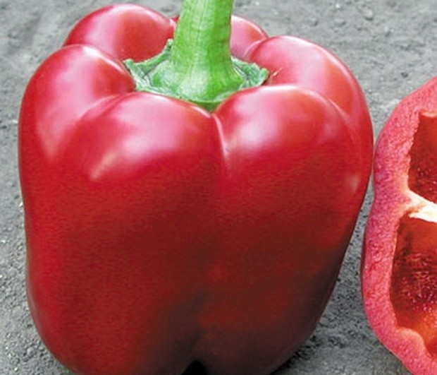 сорта сладкого перца с толстыми стенками