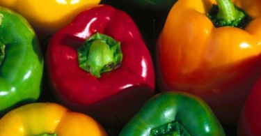 сорт перца сладкого раннего толстостенного