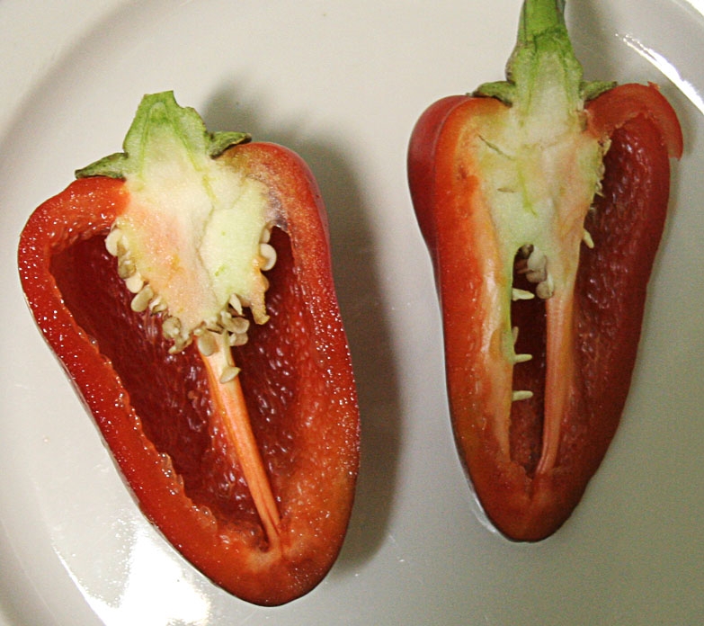 выращивание болгарского перца