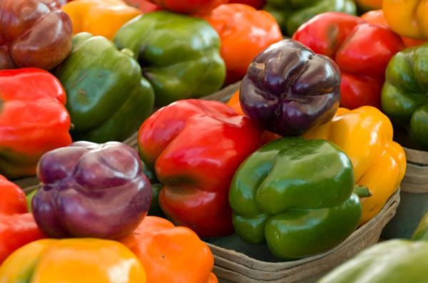 ранние сорта перца сладкого для открытого грунта