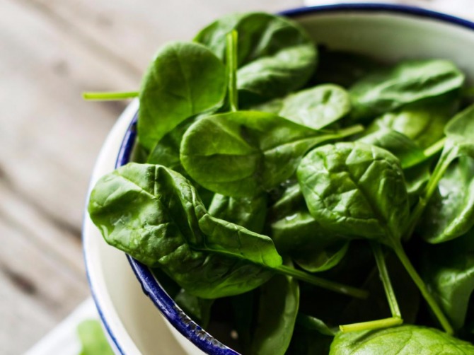 шпинат выращивание из семян