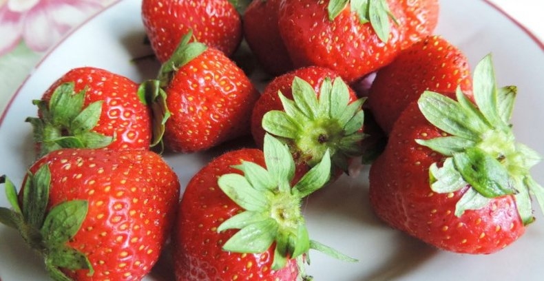 земляника садовая крупноплодная сорта