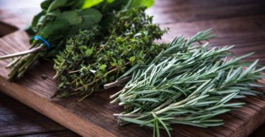 Фото пряных трав