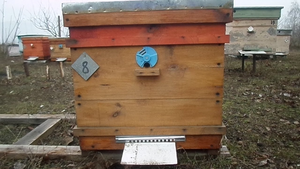 улики для пчел своими руками