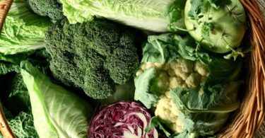 виды капусты