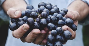 Польза и вред винограда для организма