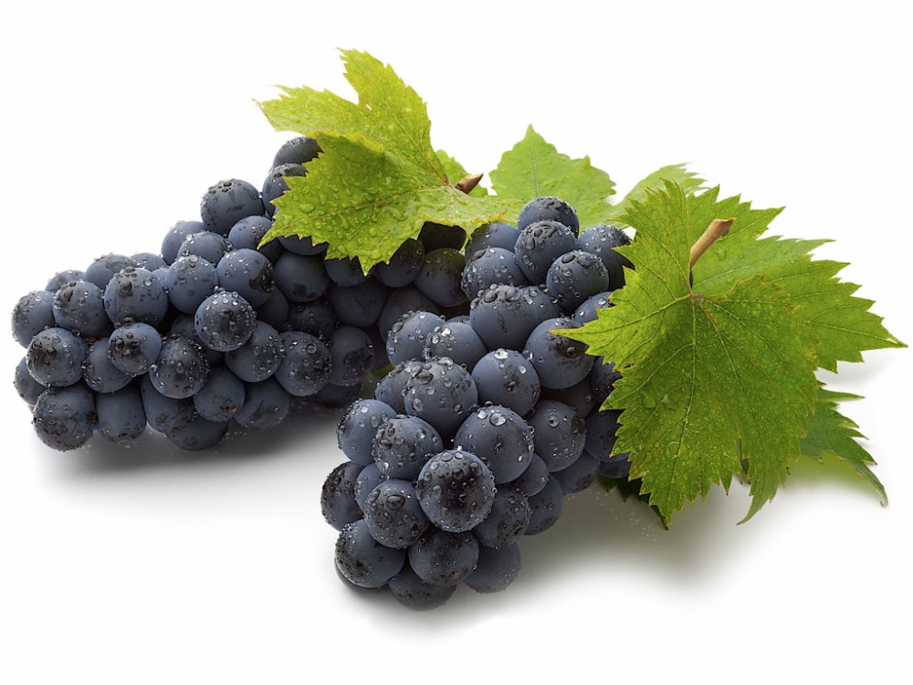 листья винограда полезные свойства и противопоказания