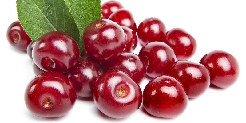 листья вишни полезные свойства и противопоказания