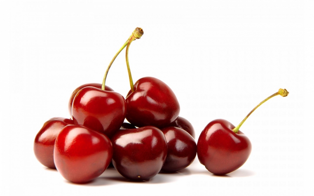 вишня это дерево или кустарник