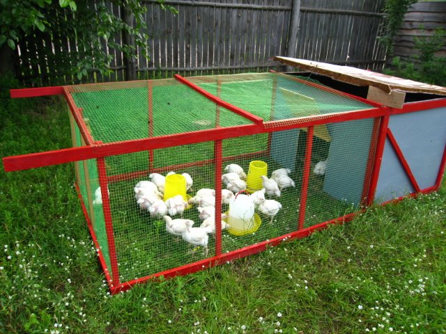 корм для бройлеров