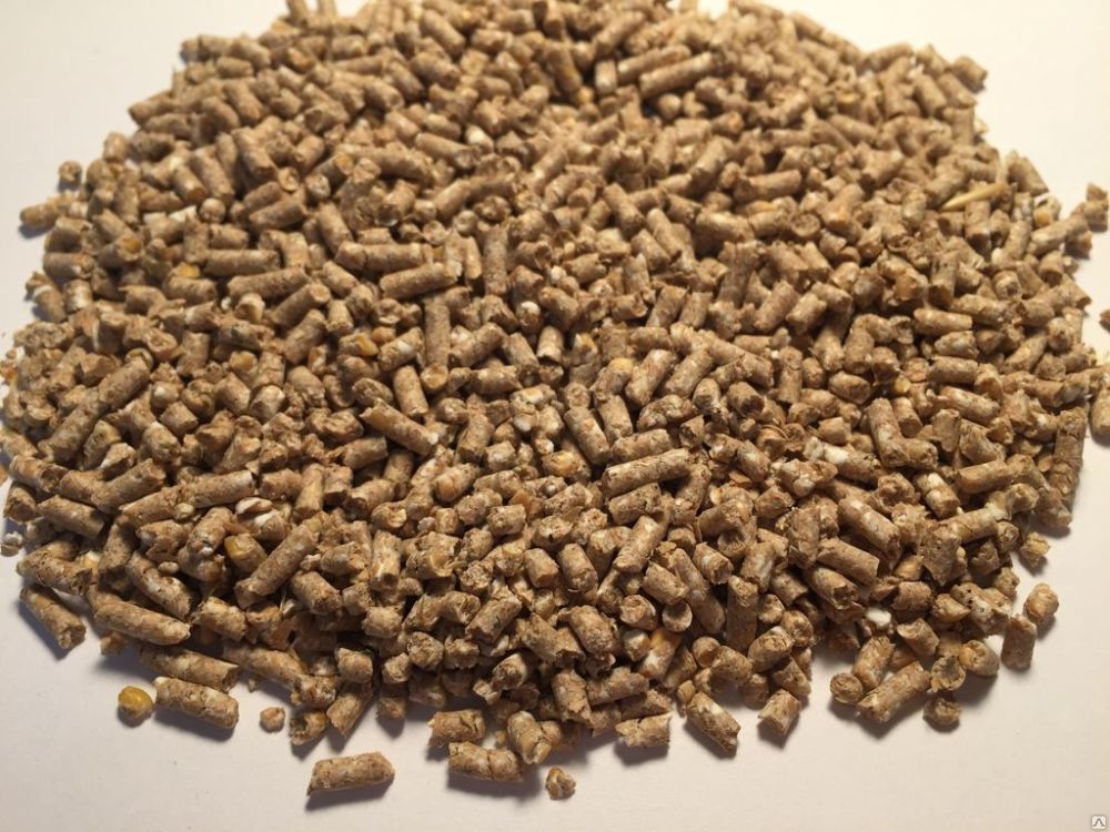 выращивание бройлеров в домашних условиях