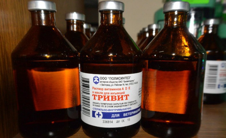 чем кормить бройлеров в домашних условиях