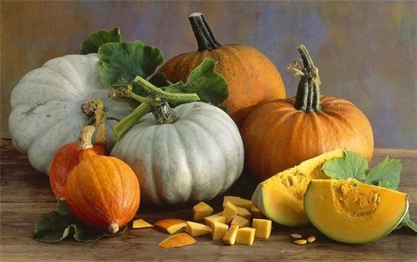 посадка тыквы семенами в открытый грунт