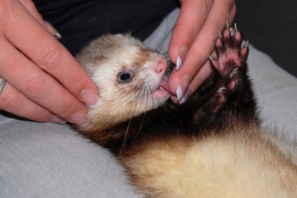 плюсы и минусы