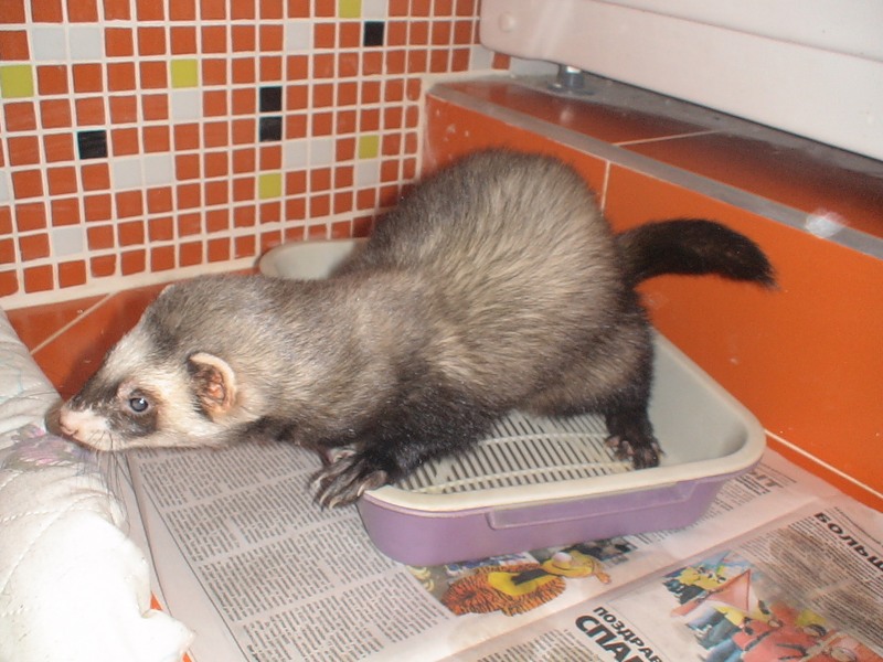 плюсы и минусы