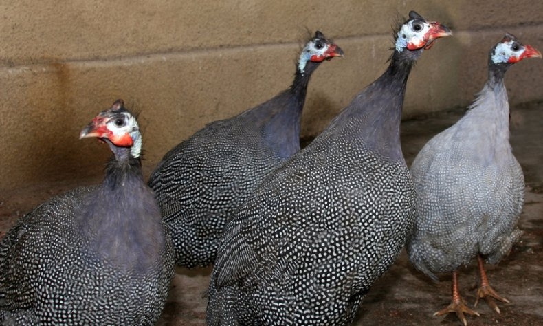 содержание проблемы