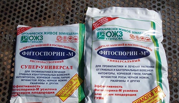 фунгициды для растений названия