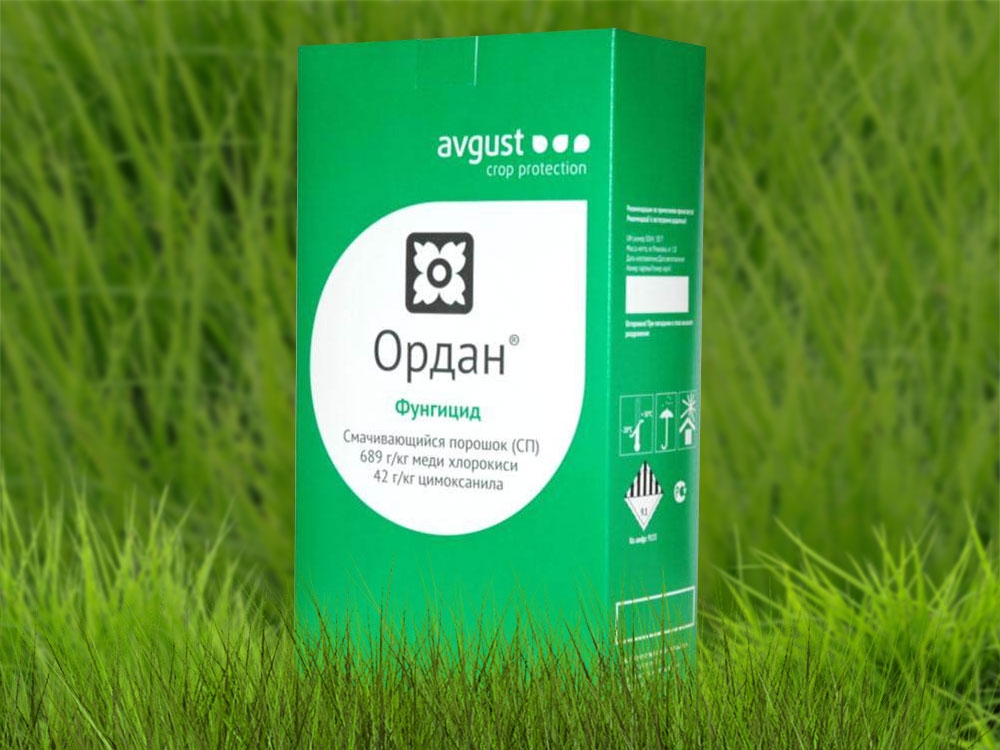 фунгициды для растений названия
