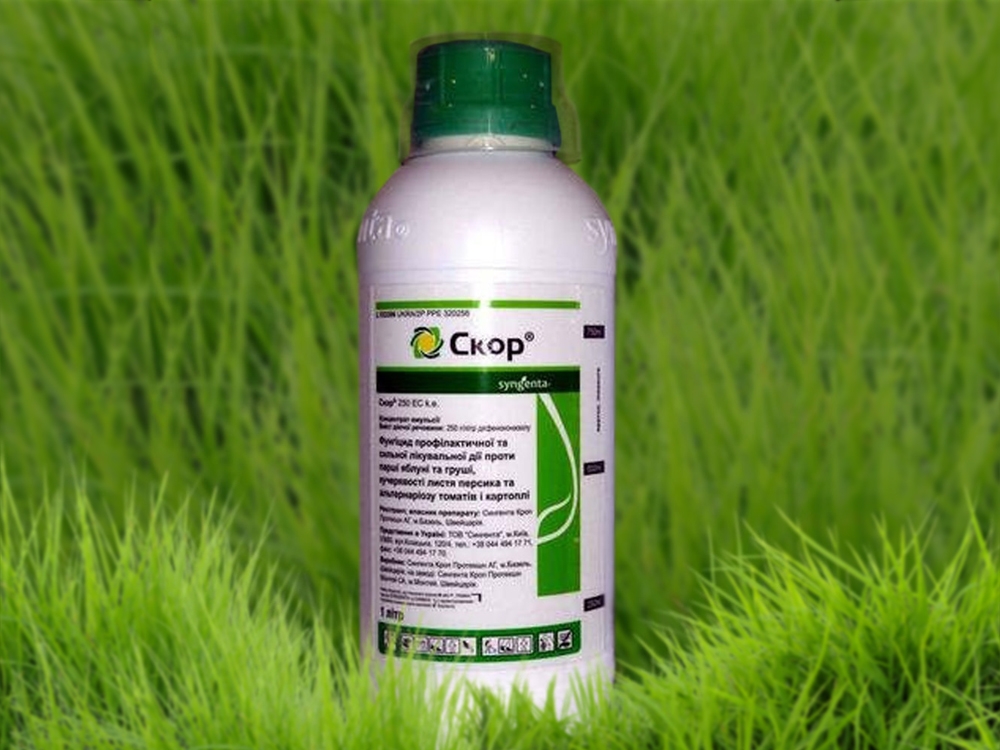 фунгицидные препараты