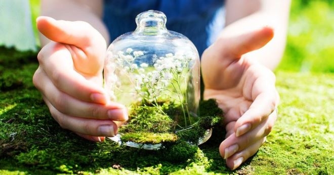 фунгициды список препаратов