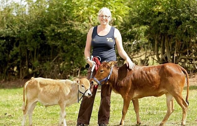 молочные породы коров в россии