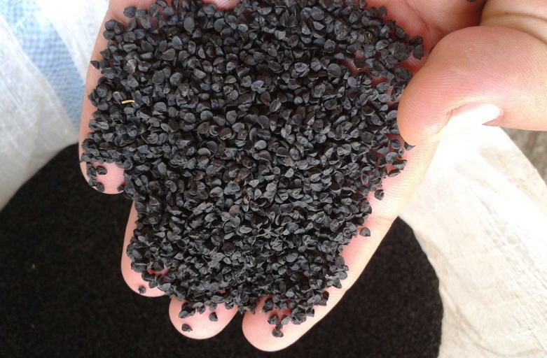 посадка лука под зиму на зелень