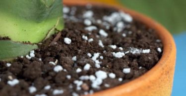 удобрения сульфат аммония