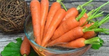 Лучшие сорта моркови