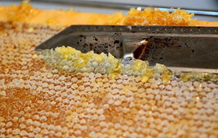 что такое забрус в пчеловодстве