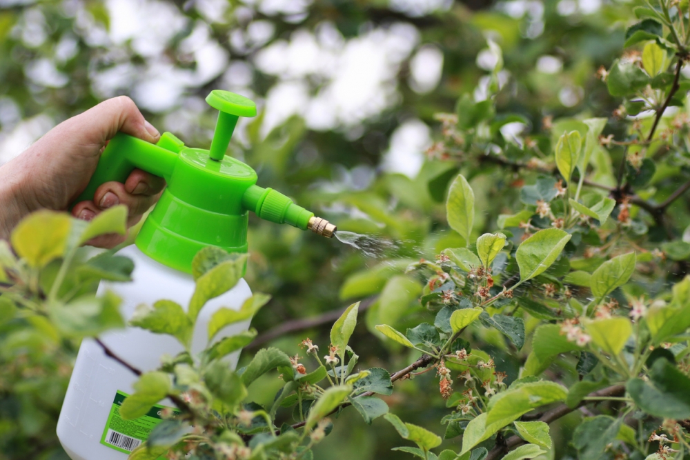 борьба с личинкой майского жука