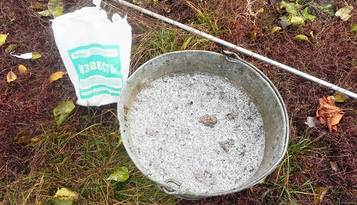 известь пушонка применение в огороде