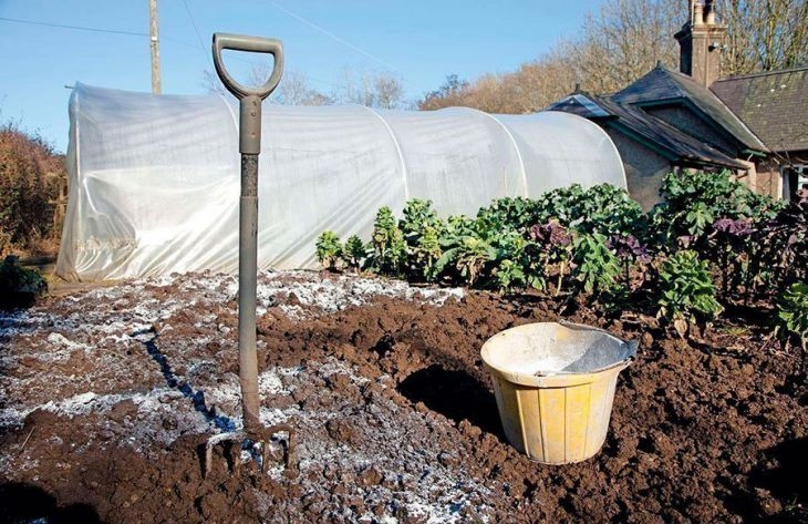 пушонка это гашеная известь или нет