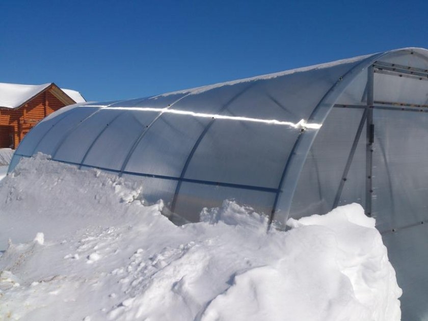 чем обработать теплицу на зиму