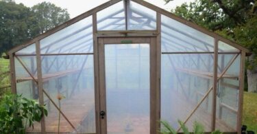 Содержание теплицы из поликарбоната зимой