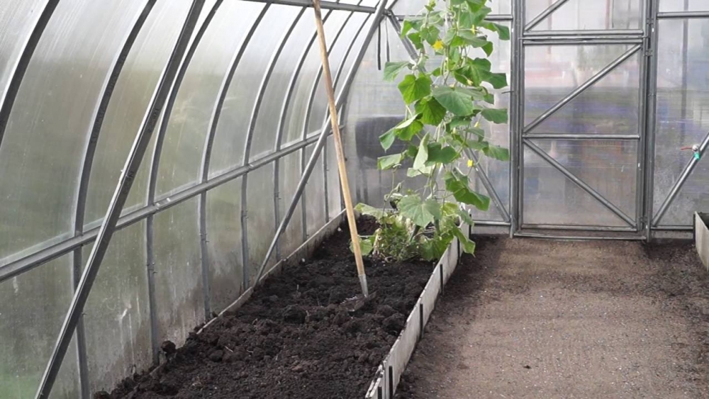 уход за теплицей зимой