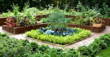 Оформление грядок на даче