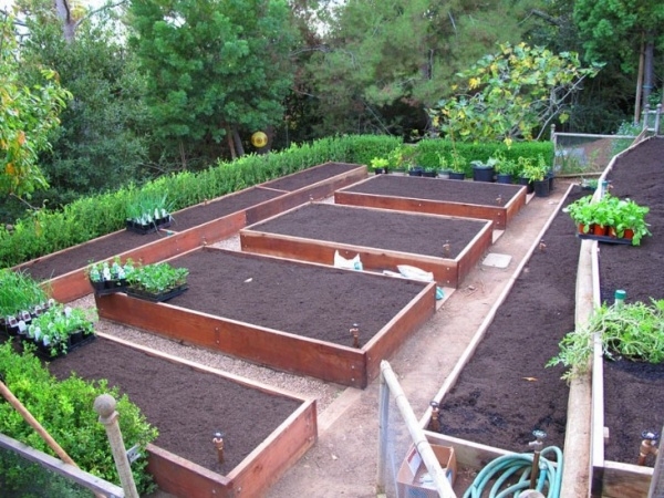 бордюры для грядок