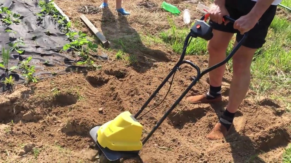 как выбрать мотокультиватор