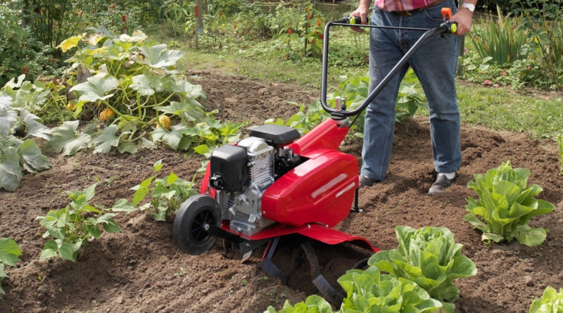 как выбрать мотокультиватор