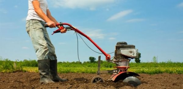 выбрать культиватор