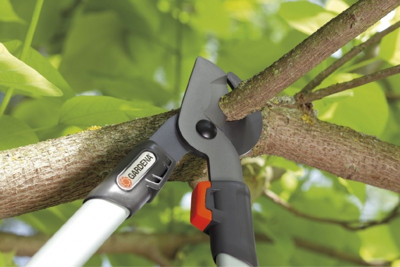 секаторы садовые как выбрать