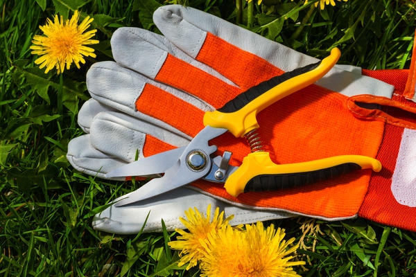 секаторы садовые как выбрать