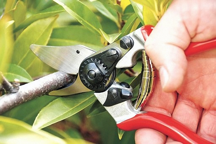 секаторы садовые как выбрать