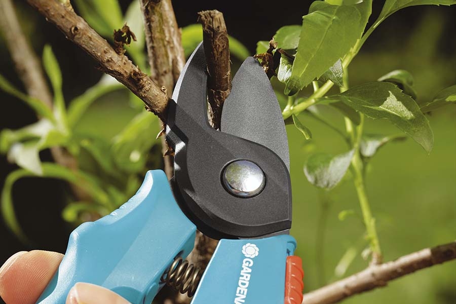 секаторы садовые как выбрать