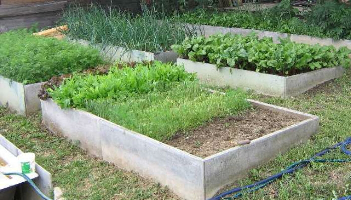 теплая грядка своими руками что положить первое