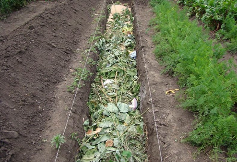 теплая грядка своими руками что положить первое